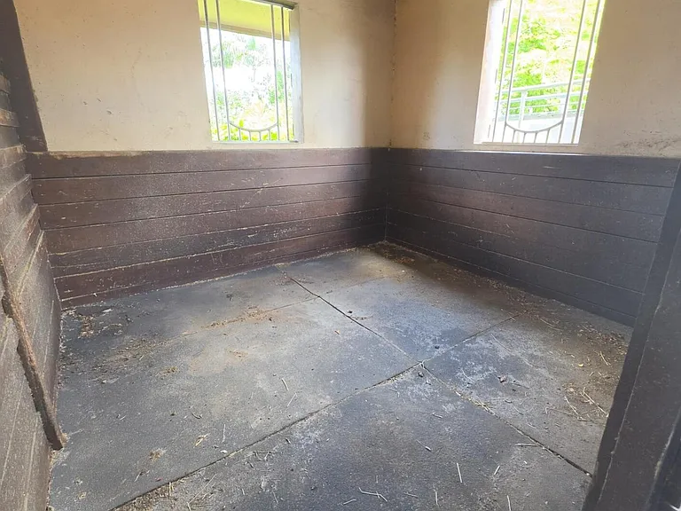 14127 Equestrian Way — Photo 10