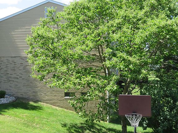 4th image of 7 Elm Dr