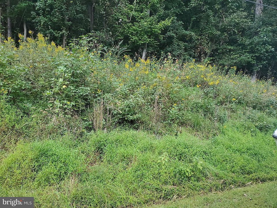 1st image of American Dr Lot 75