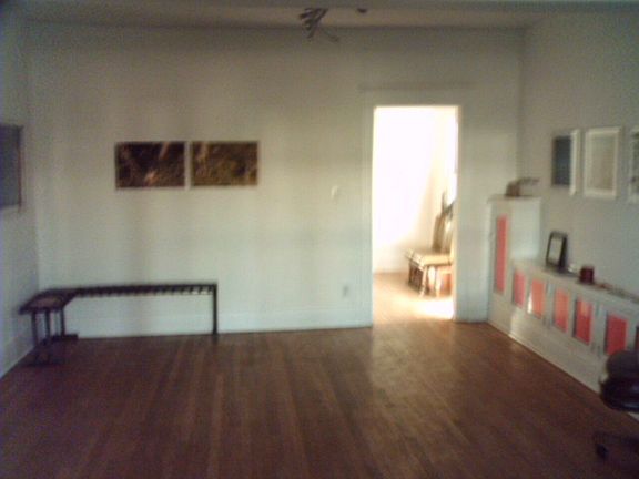 Spacious main living area has been gallery and retail.