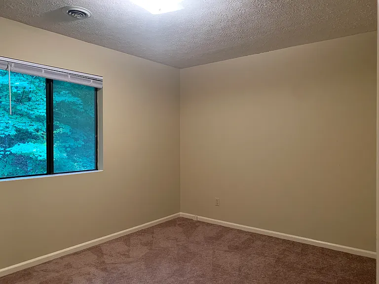 217 Bear Creek Rd — Photo 11