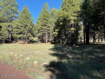 5474 Cottontail Ln, Flagstaff, AZ, 86001