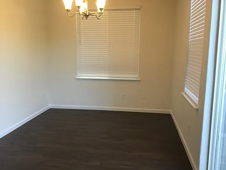 3976 Dominus Dr — Photo 8