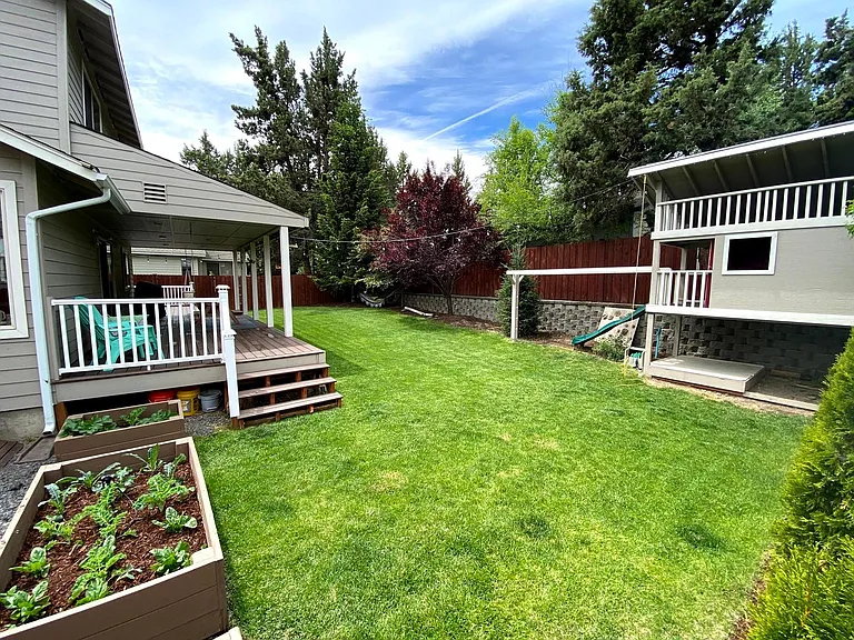 Backyard (looking South)