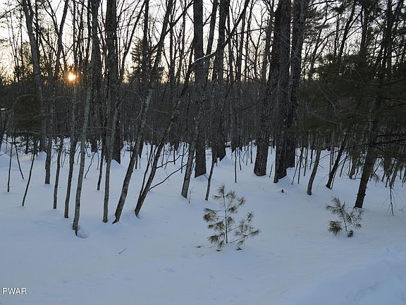 3rd image of Bear Paw Dr