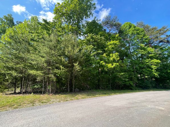 For Sale By Owner Burnside Ky - Burnside Real Estate Burnside Ky Homes For Sale Zillow : 40.14 acres of colorado land for sale with mountain views, county road frontage, electricity, internet & telephone just minutes from the 1,600 acre lathrop state park.