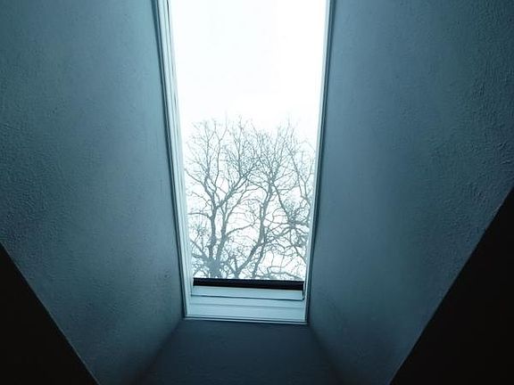 4th image of 3408 Halifax Dr