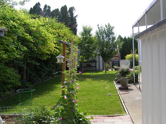 Private back yard