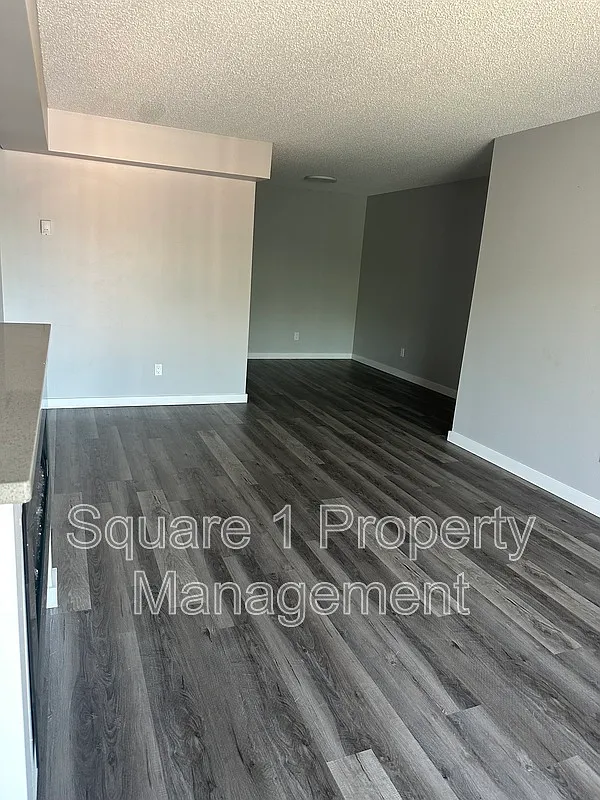 1 bed, 1.0 bath, $1,350 — Photo 2