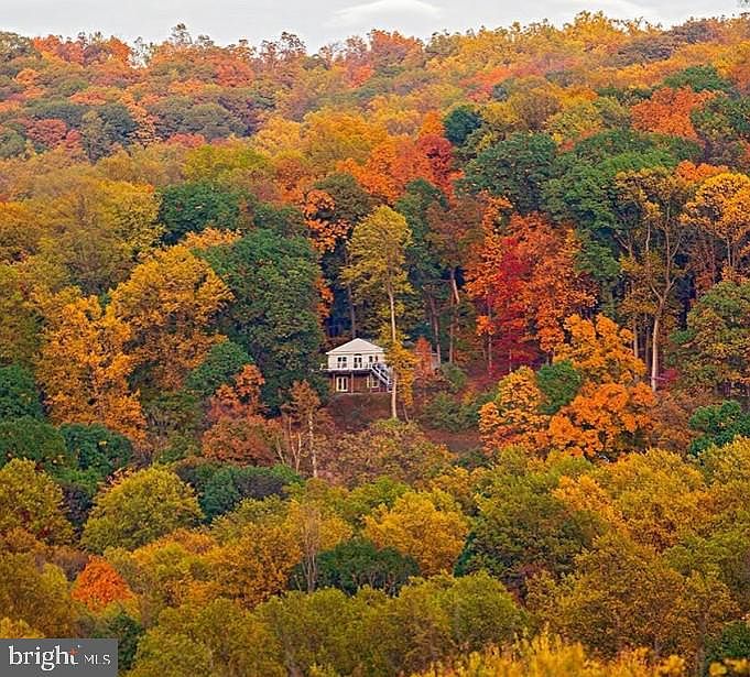 1st image of 500 Delicious Rd