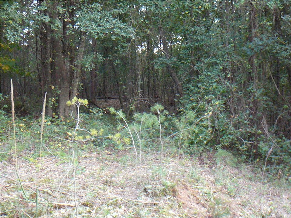 2nd image of LOT 6 Gambrell Rd #Townville