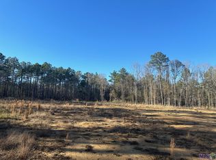 36222 Weiss Rd, Walker, LA 70785