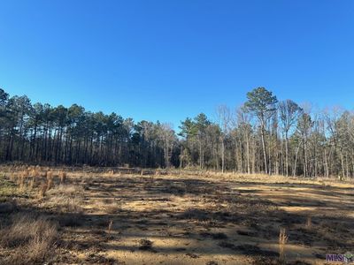 36222 Weiss Rd, Walker, LA, 70785