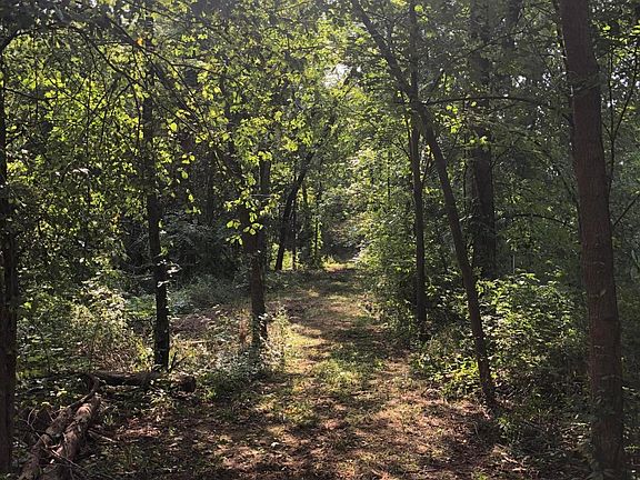 2nd image of 0 County Road 19