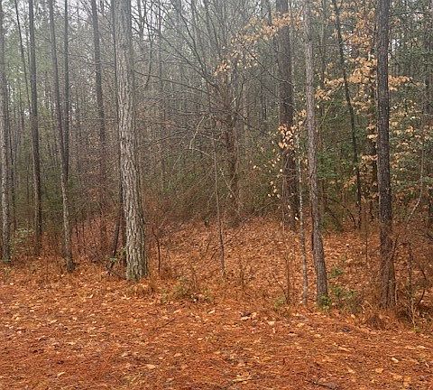 5th image of 26399 Cherry Hill Rd #6