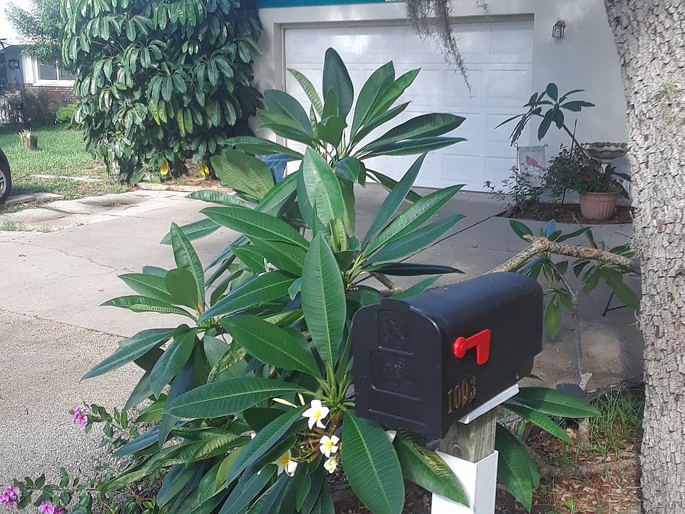 1st image of 1003 Anclote Dr