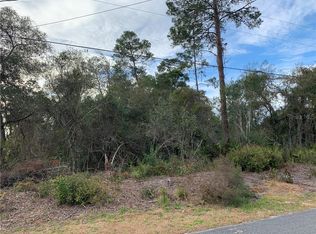 6533 Blackbird Ave, Weeki Wachee, FL 34613