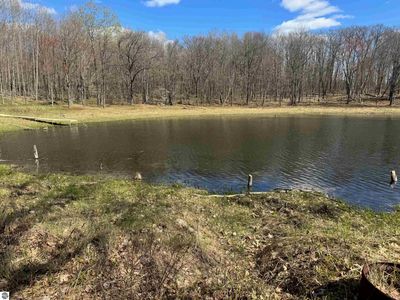 10311 Alpine Drive, Reed City, MI, 49677