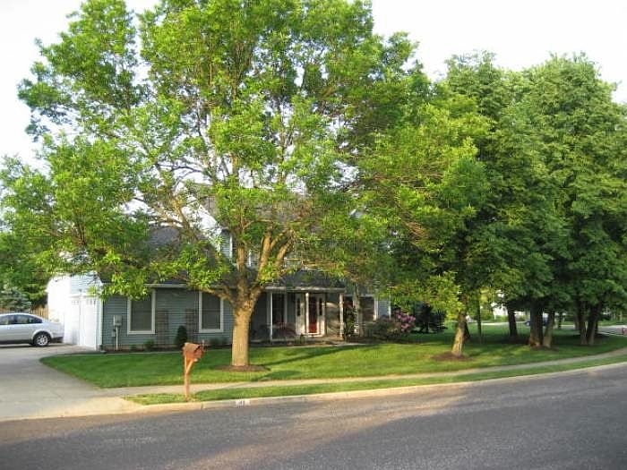 Front Elevation Spring