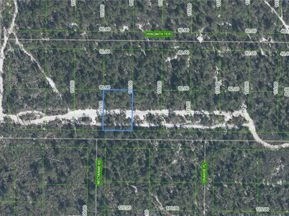 1238 Hyacinth Ave, Sebring, FL 33875