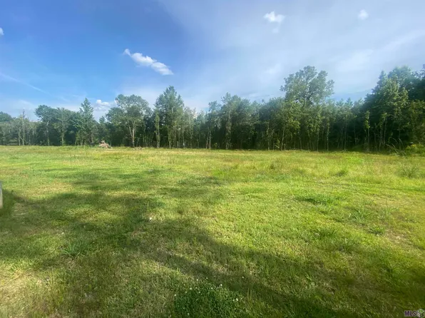23697 S Frost Rd, Livingston, LA 70754
