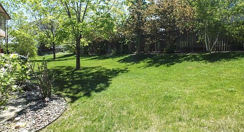 Another view of the yard