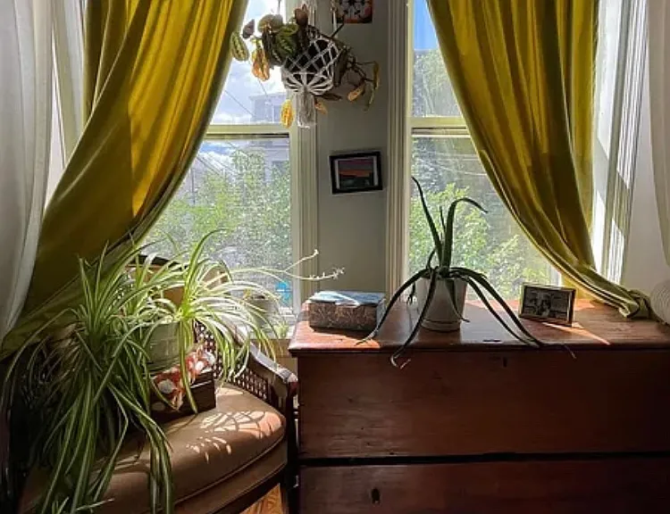 39 Florence St #1 — Photo 8