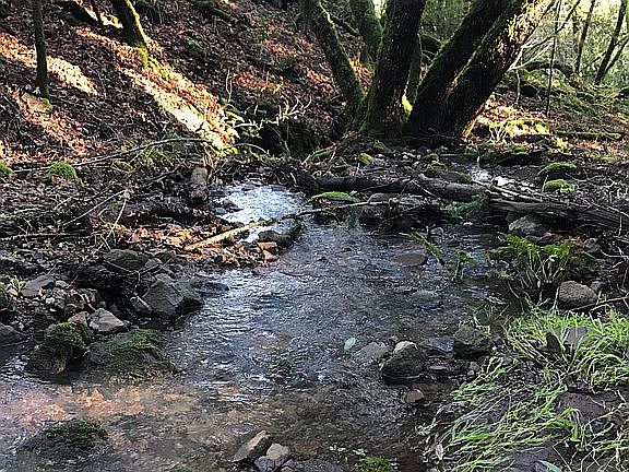 3rd image of 2759 Bennett Ridge Rd