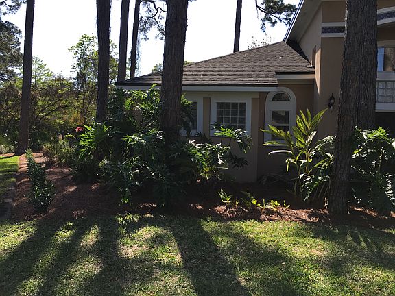 Left side of house