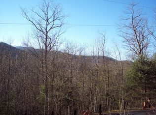 0 Skyline Dr, Blue Ridge, GA 30513