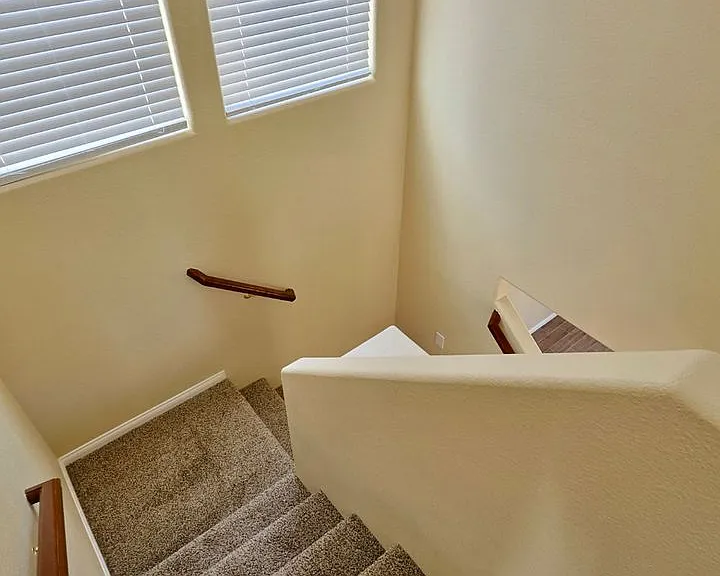 340 Sweet Sugar Pine Dr — Photo 17