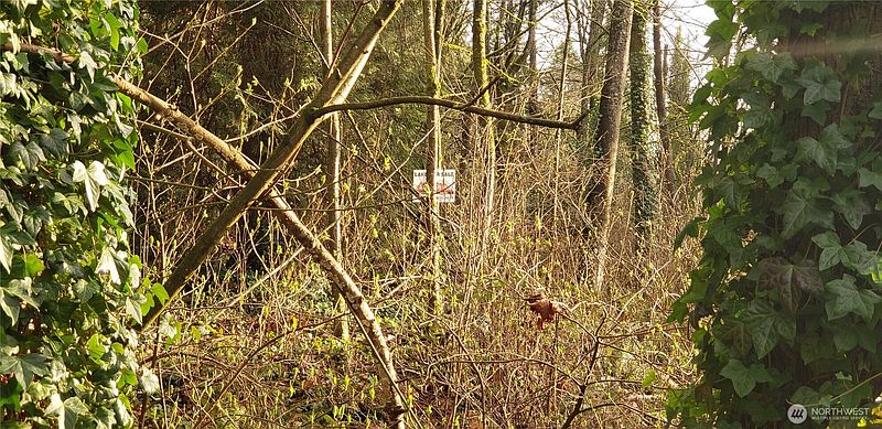 26th image of 26 XX SW 308th Street
