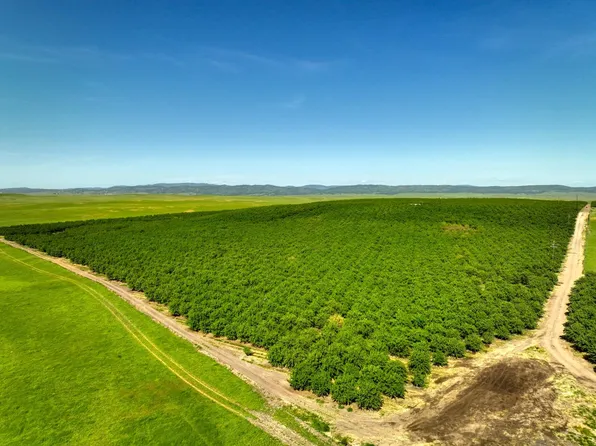 5013 E Highway 4 Rd, Farmington, CA 95230