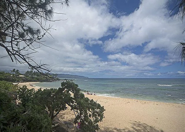 61-493 Kamehameha Hwy — Photo 10