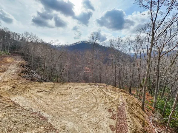 LOT 20 Walnut Cove Br, Robbinsville, NC 28771