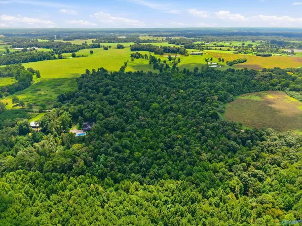 County Road 3, Albertville, AL 35951