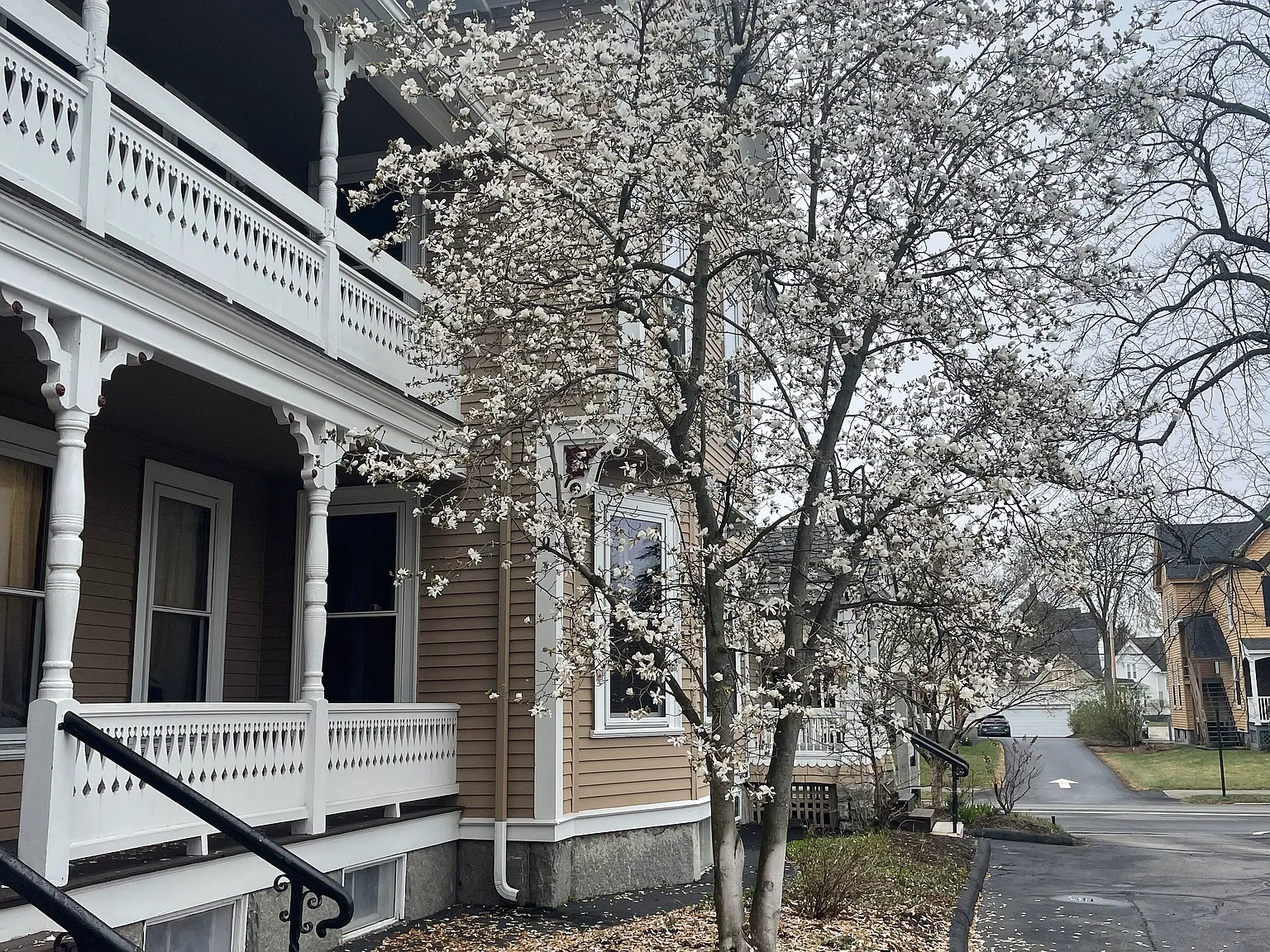 3 bed, 2000 sqft, $2,650 — Photo 2