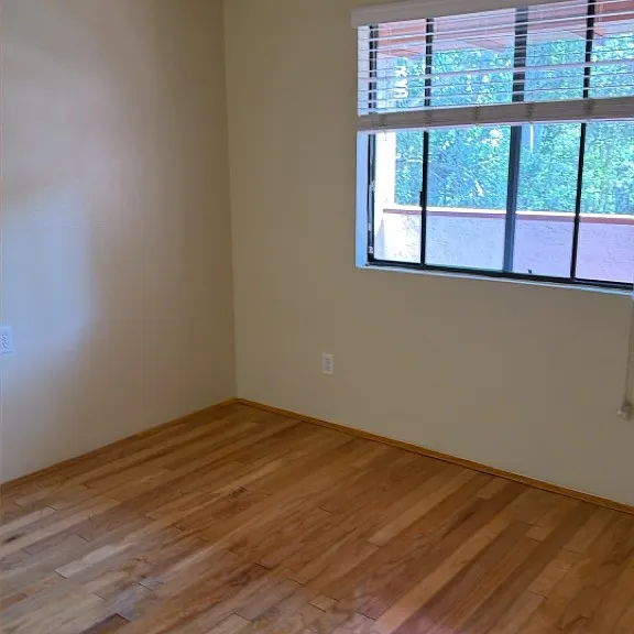 College Ave Apts. — Photo 31