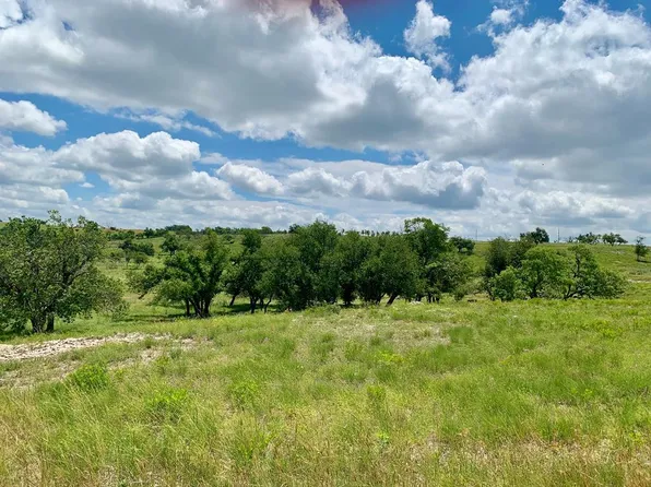 14 Badger Ridge Rd, Fredericksburg, TX 78624