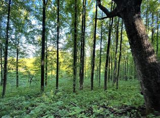 1443 School House Gap Rd HOUSE GAP, Townsend, TN 37882