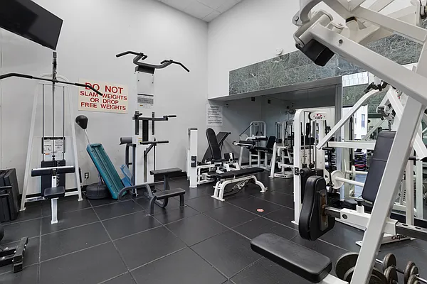 Rented by Platinum Properties | media 15