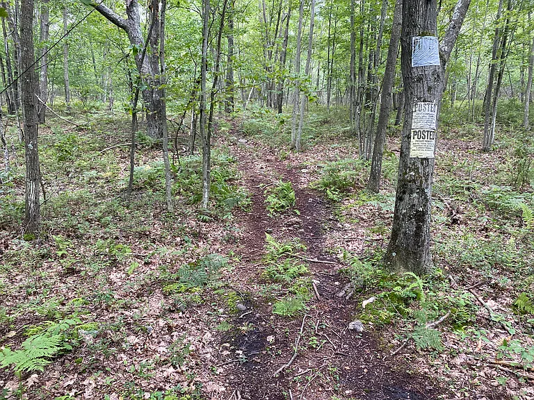 427 Summit Woods Rd — Photo 57