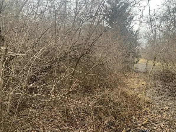 1004 E 92nd St, Kansas City, MO 64131