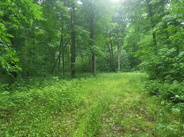 88355 County Highway F, Butternut, WI 54514