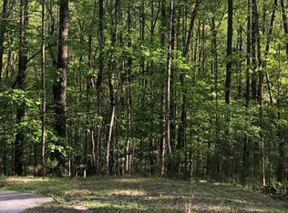 Noel Ct, Ellijay, GA 30540