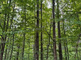 V/l 672a Weaver Rd, Grayling, MI 49738