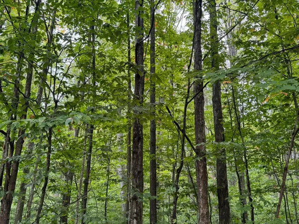 V/l 672a Weaver Rd, Grayling, MI 49738