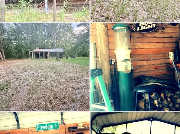 465 SW Curtain Ln, Fort White, FL 32038