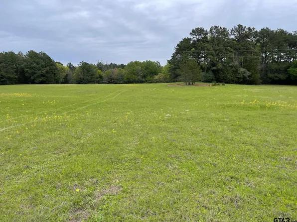 County Road 2190, Grapeland, TX 75844