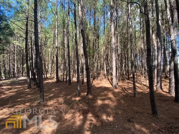 0 Blackjack Rd, Louisville, GA 30434